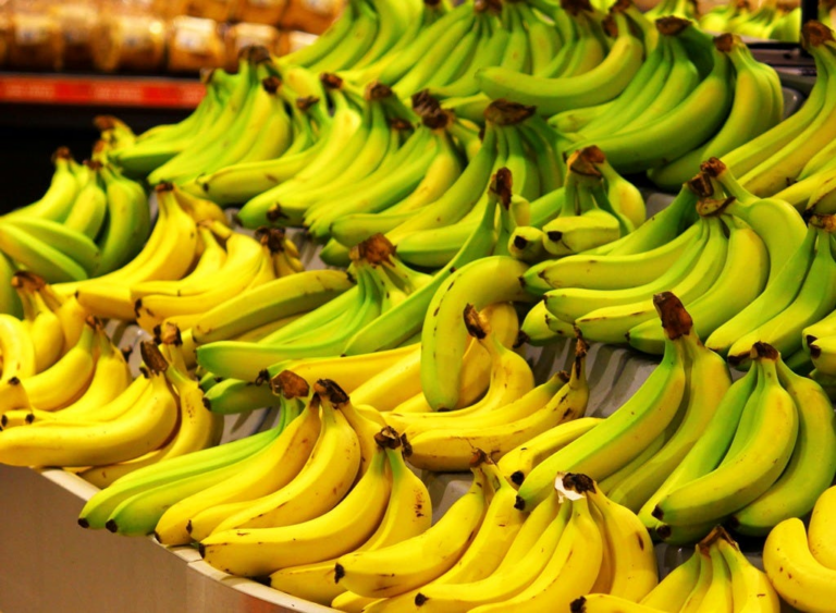 From Plantation to Plate: The Journey of Bananas in the Food Supply Chain